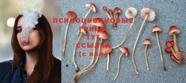 амф Алексин