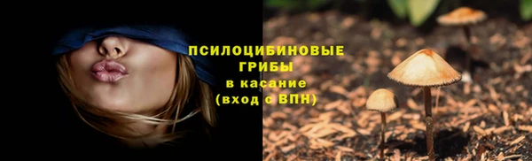 амф Алексин