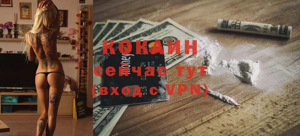 дживик Алзамай