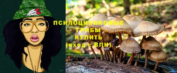 амф Алексин