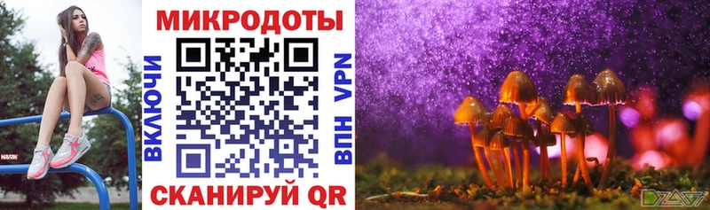 Галлюциногенные грибы Psilocybine cubensis  Харовск 